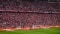 Das Bild zeigt Viessmann Banden im Stadion