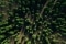 The image shows a forest from above