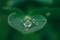 The image shows a leaf with water drops as a symbol for sustainability.