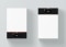 The image shows a Vitodens 300 series unit on a wall.