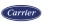Das Bild zeigt das Carrier Global Logo