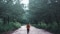 The image shows a jogger in the forest